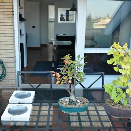 Design In Apartment